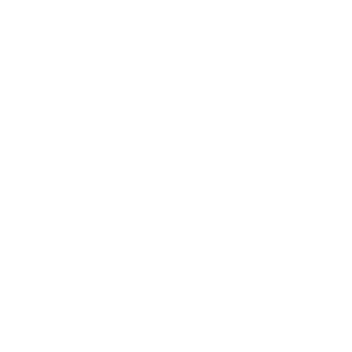 vestimenta